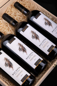 Crama Gîrboiu Bacanta Verticală Barrique Merlot Sec - Img 3