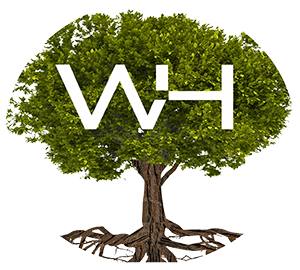 Wood Holz