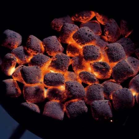 Najkvalitetniji briket za roštilj 8kg Weber