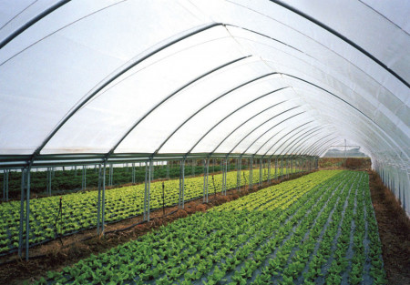 Folija za plastenike 200mic Patilux (širina 8.5m)