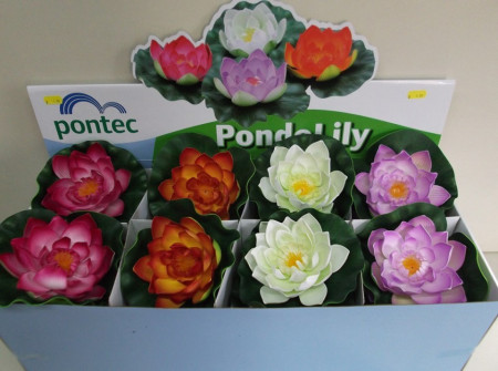 Ukrasni plutajući lokvanj beli Pontec PondoLily - Img 4