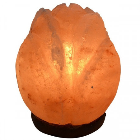 Lampa od himalajske soli - kristalna lampa Lotus