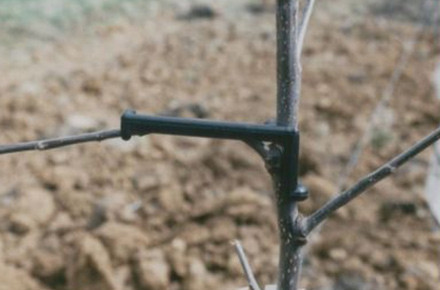 Povijač za grane od stabla 100/1 - K model - Img 2