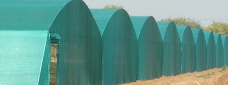 Mreža za zasenu 8x50m 30% zelena - Img 3