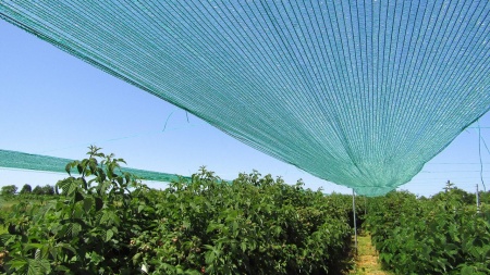 Mreža za zasenu 8x50m 40% zelena - Img 4