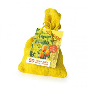 Cvetne lukovice Mix THE YELLOW BAG 50/1