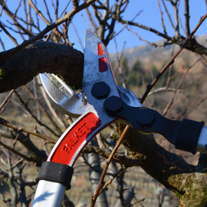 Sečenje makazama za grane 80cm Falket 8001