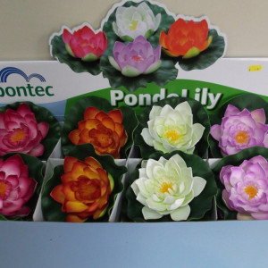 Ukrasni plutajući lokvanj beli Pontec PondoLily - Img 4