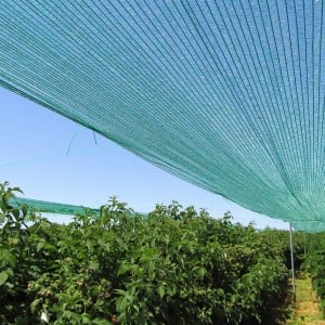 Mreža za zasenu 3x50m 90% zelena - Img 4