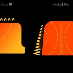 gorioniki ooni koda 2 pro vs koda 16