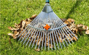 Grabulje za lišće sa drškom NATURELINE Gardena - Img 2