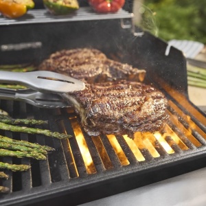 Plinski roštilj Weber Spirit E-325 za stejkove