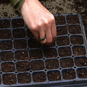 Substrat za setvu sitnog semena Seedling 70L Klasman - Img 2