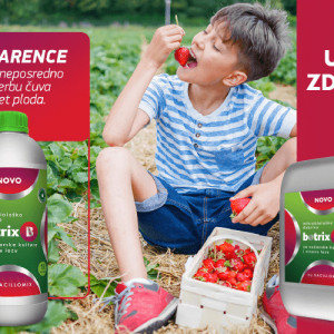 Bacillomix Botrix B 500ml - mikrobiološko đubrivo za voćarske kulture i vinovu lozu - Img 2