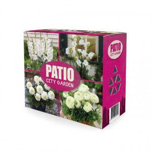Cvetne lukovice beli Mix - Patio City Garden 40/1