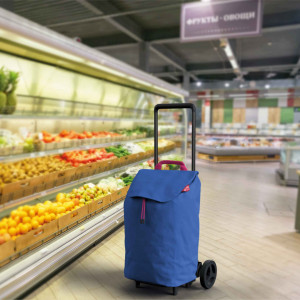 Kolica za pijacu Gimi Easy 48L