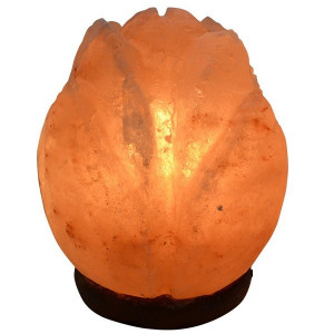 Lampa od himalajske soli - kristalna lampa Lotus