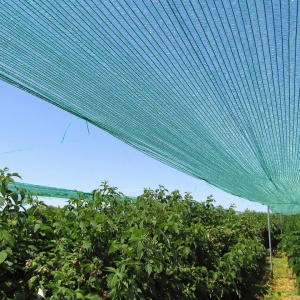 Mreža za zasenu 1x100m 30% zelena - Img 4