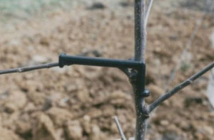 Povijač za grane od stabla 100/1 - K model - Img 2