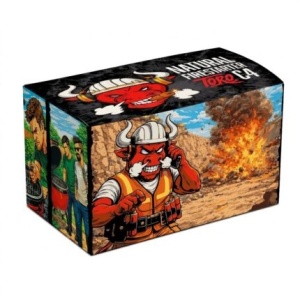 Premium kocke za potpalu TORO C4