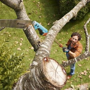 Sečenje višig grana testerom 300 PP  Combisystem  GARDENA