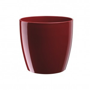 SAKSIJE RIO RED LAQUER 25