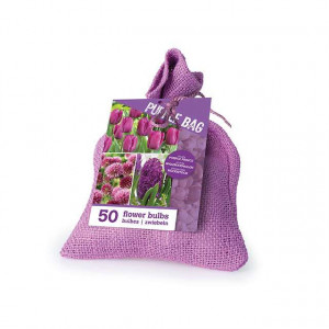 Cvetne lukovice Mix THE PURPLE BAG 50/1
