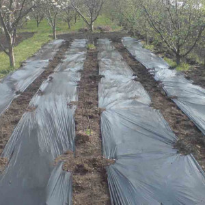 Malč folija crna Dolomite 20mic 1m x 100m - Img 2