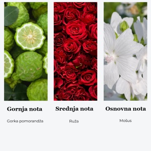 Dopuna osveživača - Perfemski miris Pathos 250 ml - Img 2