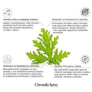 Solo Air Citronella Exotic – Aerosolni Biocid protiv insekata, muva 250 ml - Img 2