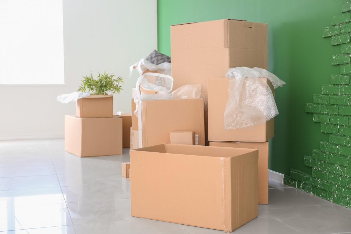 Ghidul complet al ambalajelor din carton: De la design la reciclare