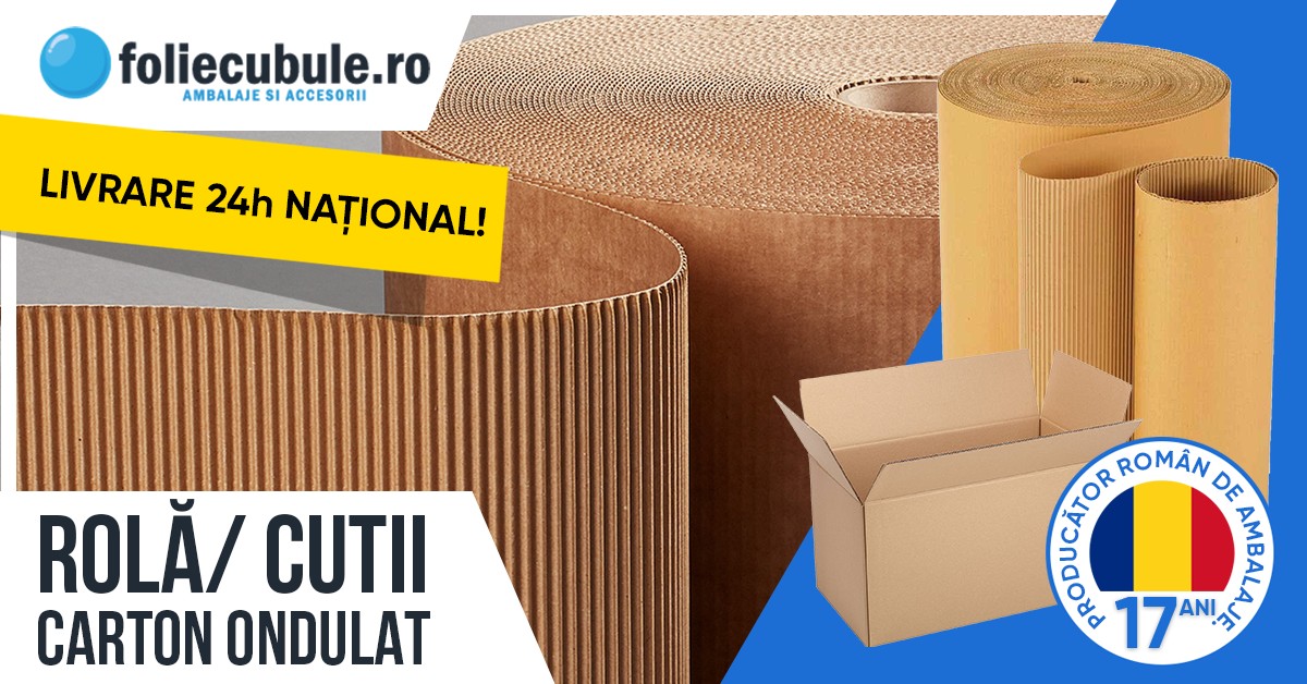 Ambalarea in cutii de carton