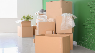 Ghidul complet al ambalajelor din carton: De la design la reciclare