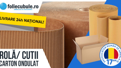 Ambalarea in cutii de carton