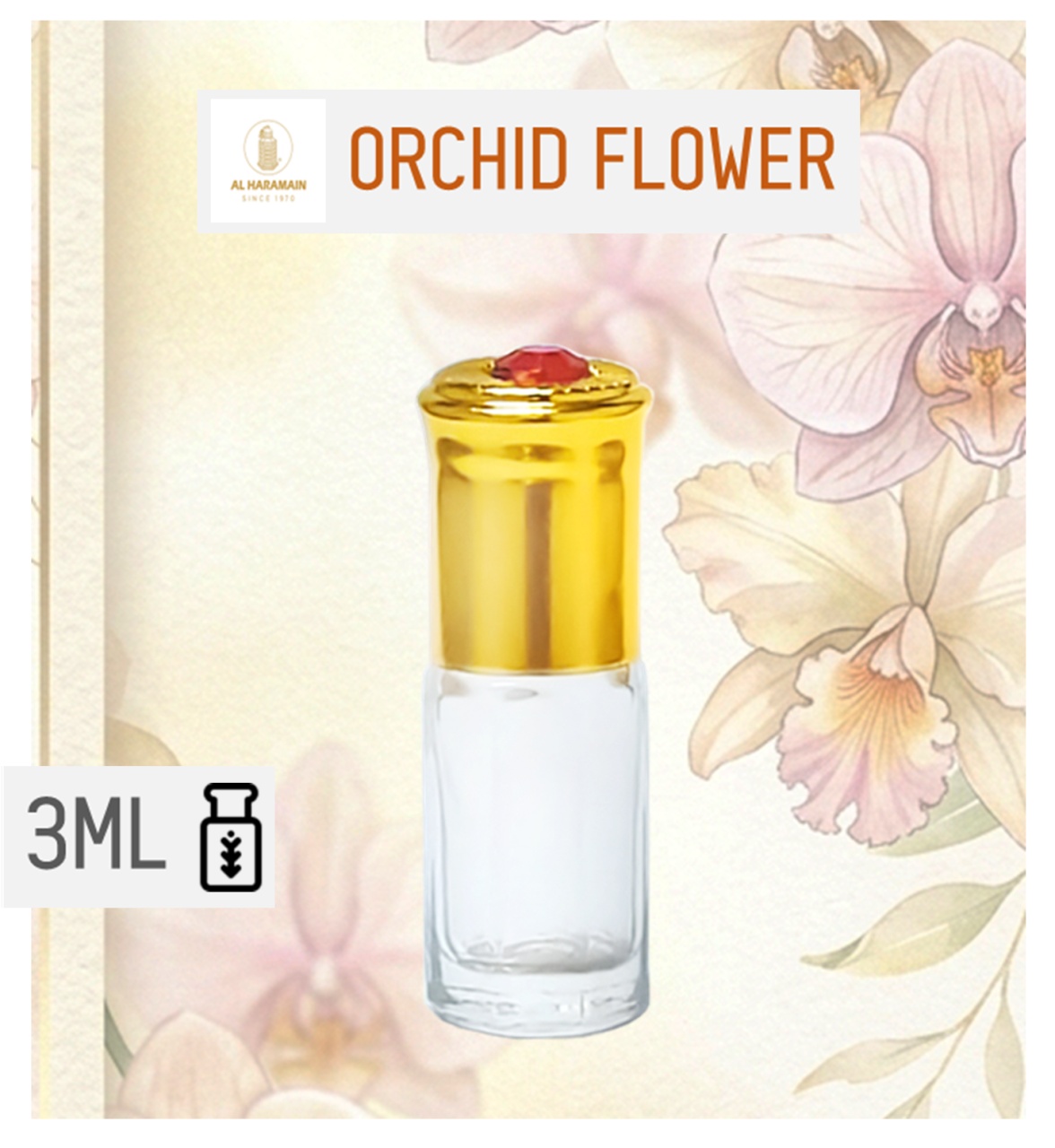 Orchid Flower
