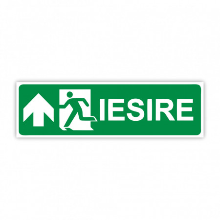 X269 Semn indicator, (iesire sageata sus), Autocolant sau PVC, 30x10 cm
