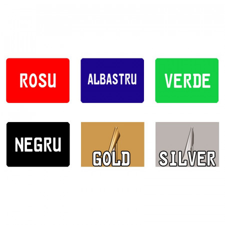 Placa Auto Personalizata cu Numele tau *LOGO masina * 52X11cm Standard pentru suportul auto - Img 2