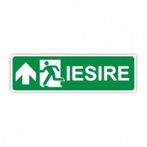 X269 Semn indicator, (iesire sageata sus), Autocolant sau PVC, 30x10 cm