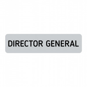 ABS146 Placa ABS 20x5 cm Personalizata (DIRECTOR GENERAL)