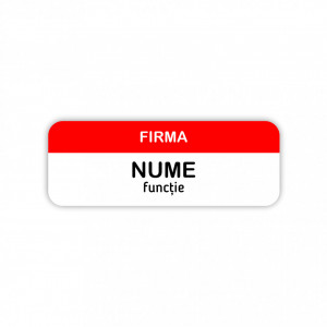 EC11 Ecuson Personalizat metalic 2.5x7cm cu sistem de prindere - Img 2