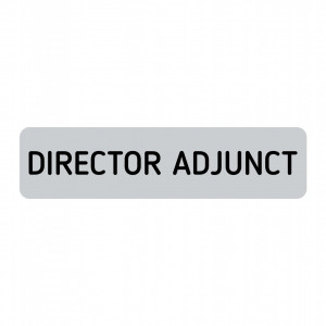 ABS144 Placa ABS 20x5 cm Personalizata (DIRECTOR ADJUNCT)