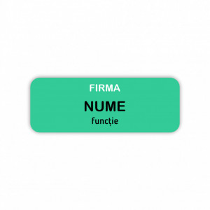 EC14 Ecuson Personalizat metalic 2.5x7cm cu sistem de prindere - Img 3