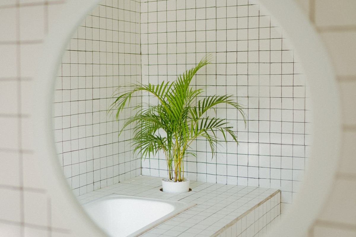 Amenajare baie - de unde trebuie sa incepi - cada cu planta