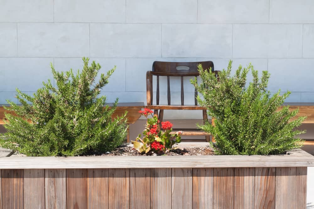 Amenajarea gradinii - ce reguli de amenajare pentru gradina trebuie sa respecti terasa cu scaun maro si flori