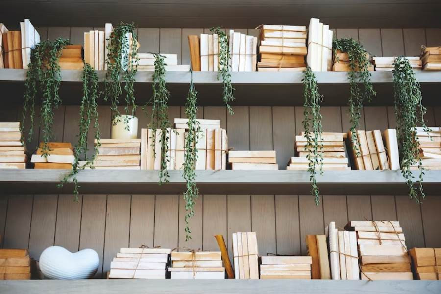 Idei de amenajare pentru biblioteca - stiluri de amenajare a livingului cu biblioteca_Biblioteca amenajata in stil eclectic, personalizat, carti, plante