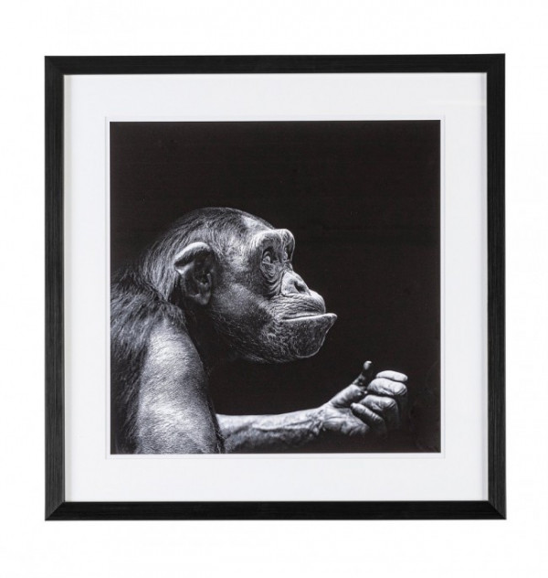 Tablou decorativ negru/alb din MDF si plastic, 49x3,2x49 cm, Dovada Monkey Bizzotto - Img 1