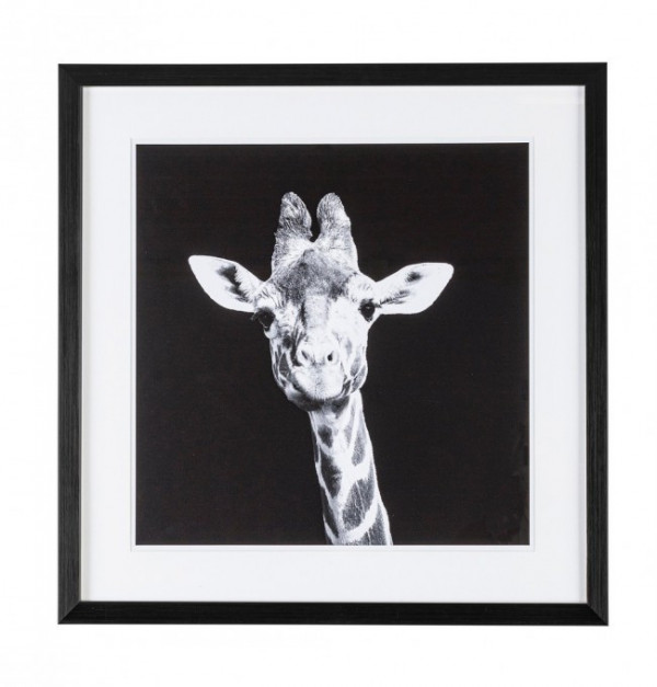 Tablou decorativ negru/alb din MDF si plastic, 49x3,2x49 cm, Dovada Giraffe Bizzotto - Img 1