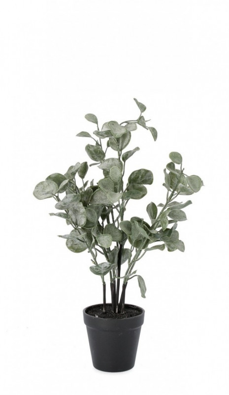 Planta artificiala decorativa cu ghiveci, 40 cm, Eucalipt Bizzotto