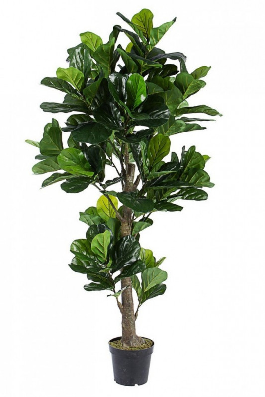 Planta artificiala decorativa cu ghiveci, 190 cm, Ficus Bizzotto
