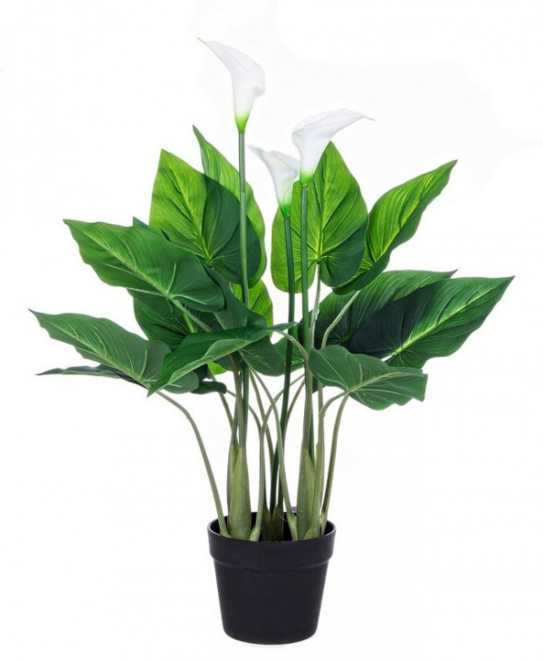 Floare artificiala decorativa cu ghiveci, 68 cm, Calla Bizzotto